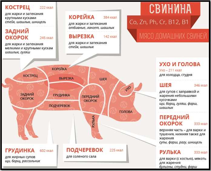 Критерии отбора мяса для приготовления шашлыка