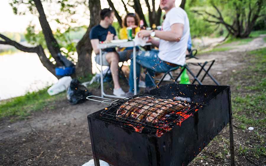 Сравнительный обзор популярных заведений для приготовления мясных блюд на открытом огне