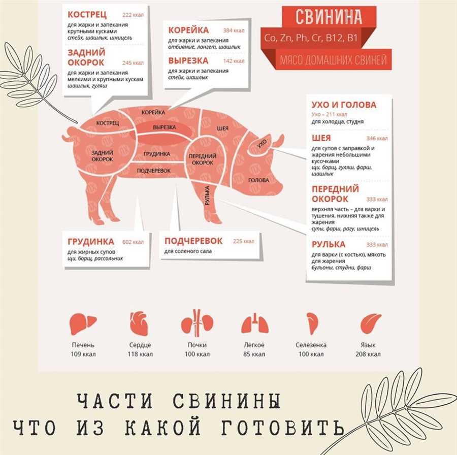 Основы выбора мясных продуктов для приготовления шашлыка